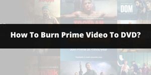 How to Burn Amazon Prime Video to DVD On Windows & MAC?