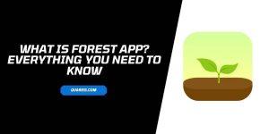 What Is Forest App