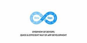 Overview Of DevOps: Quick & Efficient Way Of App Development