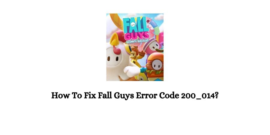 Fall Guys Error code 200_014